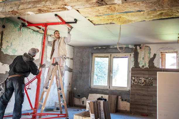 Best Insulation Maintenance and Repair in Pato, WA