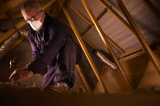 Best Commercial Insulation in Pato, WA